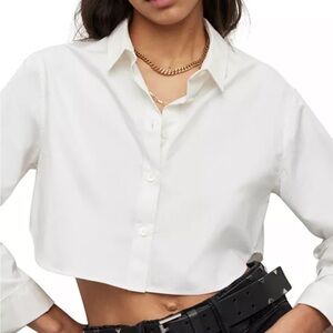All Saints Averie cropped white button up shirt size large NWT